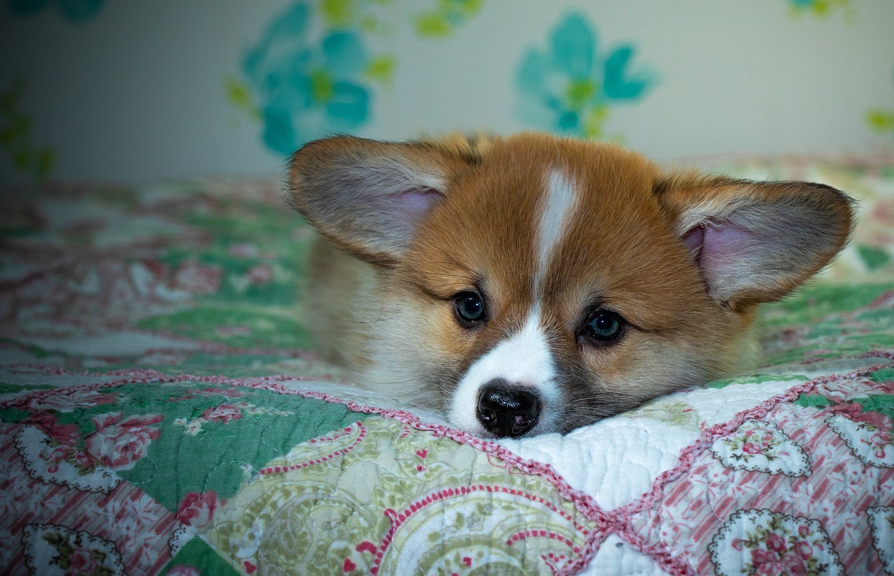 99exch Review: How India’s Emerging Exchange Platform Is Shaping Digital Trading